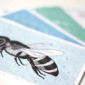 Kartenset aus Seedpaper