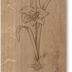 Grusskarte Schweiz Blume