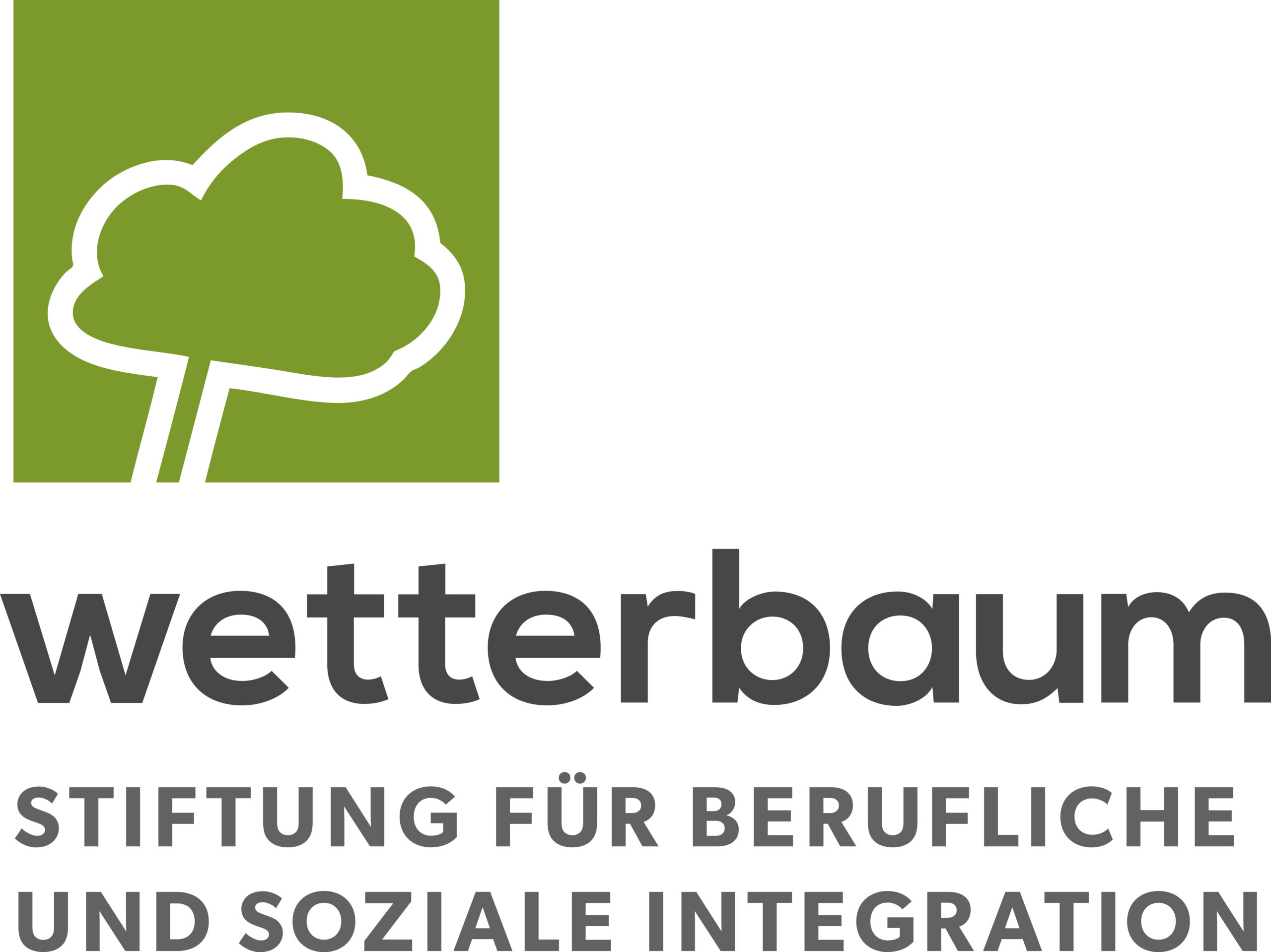 Stiftung Wetterbaum