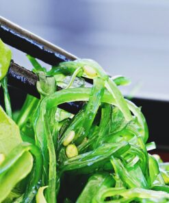 Algen & Sprossensamen