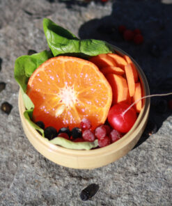 PHORA-lunch-box-S-BPA-frei-und-veganfreundlich